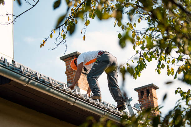Professional Roofing Contractor in Ham Lake, MN