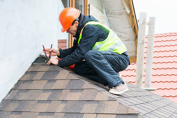 Best Metal Roofing Contractor  in Ham Lake, MN